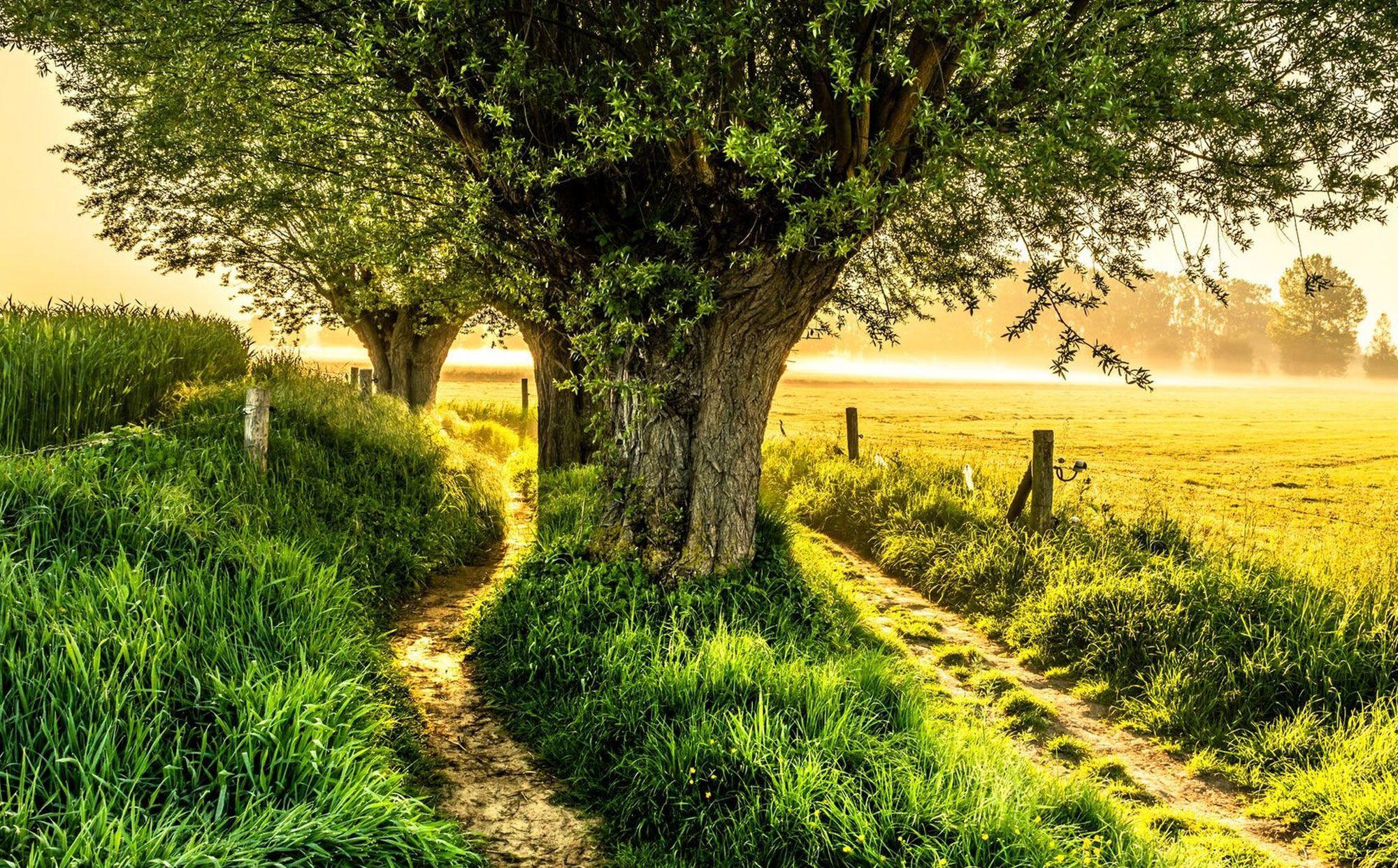Wandelroutes Nevele