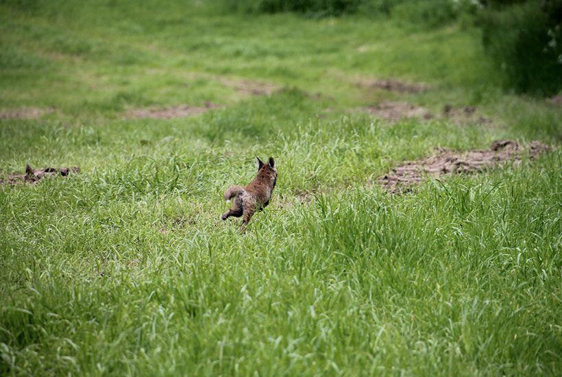 Weides bronnenwandeling