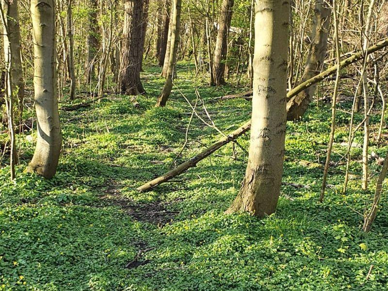 Wandelen in Wuustwezel
