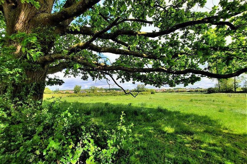 Wandelen in Zoutleeuw