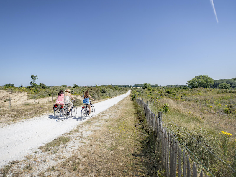 Fietsroute in De Panne, Koksijde, Veurne en Alveringem