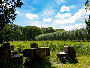 Van het Drongengoed naar het Leen fietsroute