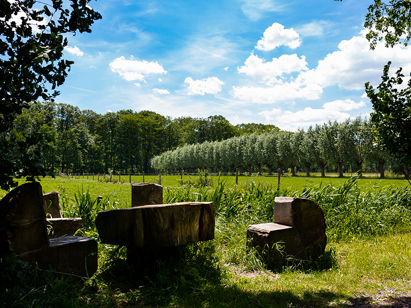 Van het Drongengoed naar het Leen fietsroute