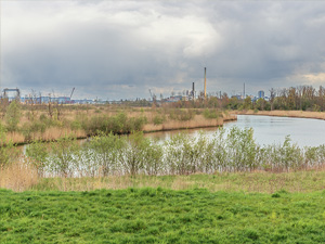 Go With The Flow fietsroute