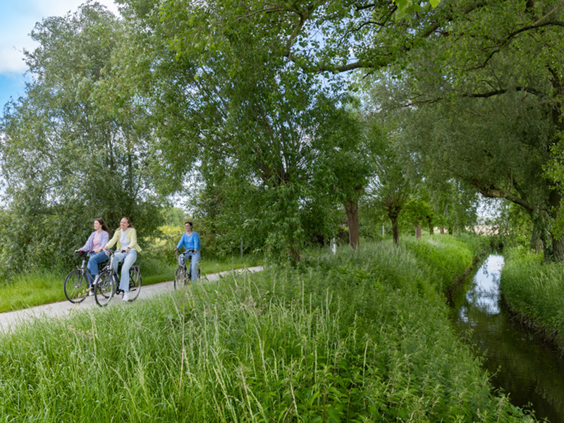 Groene Ronde Roeselare