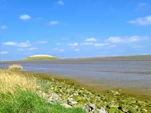 Haven van Antwerpen koersfietsroute