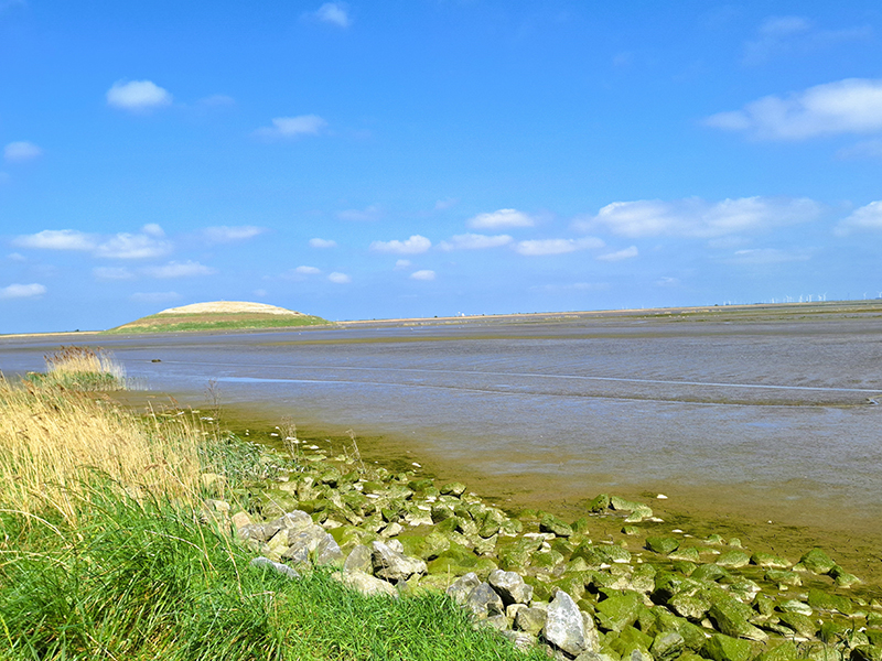 Haven van Antwerpen koersfietsroute