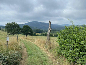 Moulin du Ruy - Borgoumont - Roanne - Heilrimont