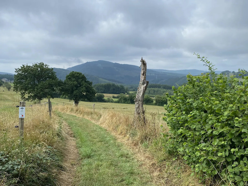 Moulin du Ruy - Borgoumont - Roanne - Heilrimont