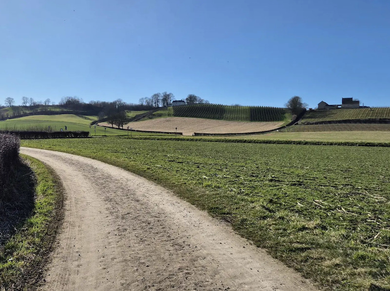 MTB-Route Sint-Pietersberg