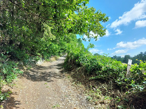 VTT La Gleize - Wérimont