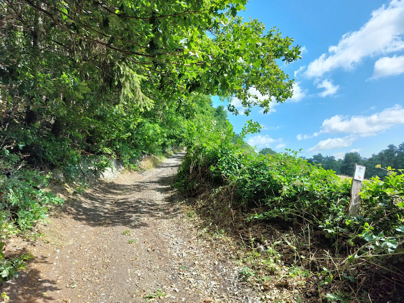 VTT La Gleize - Wérimont
