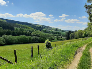 De Vallei van de Roannay