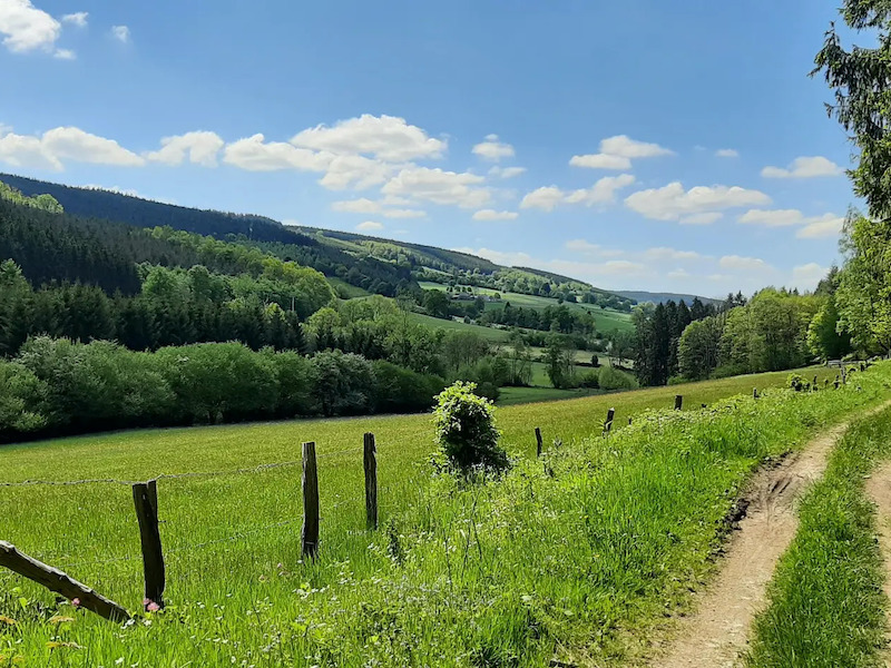 De Vallei van de Roannay