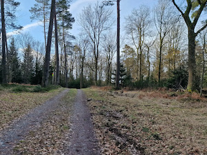 De Sint Victor Heuvel