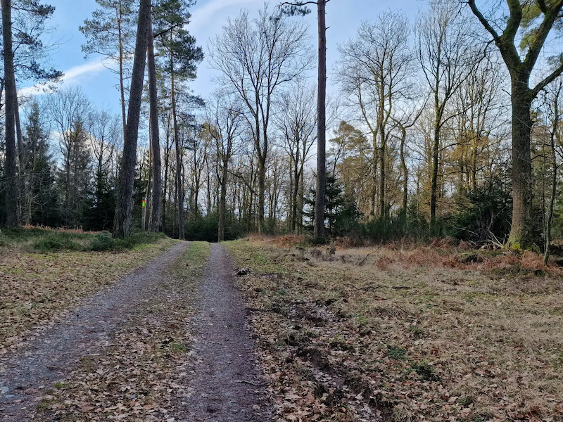 De Sint Victor Heuvel