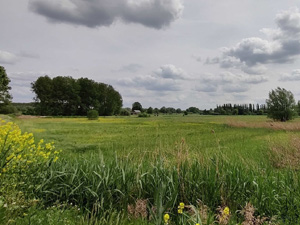 Tussen Waasmunster en Lokeren fietsroute