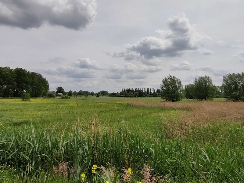 Tussen Waasmunster en Lokeren fietsroute