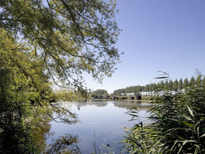 Weekendje Waasland fietsroute