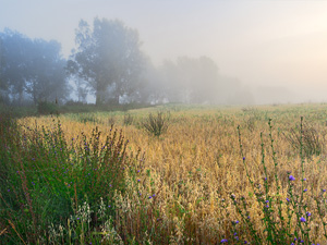 Witte Goudroute West