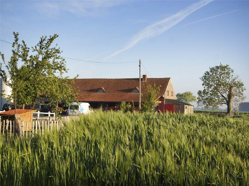 Vakantiewoning ’t Grenshof