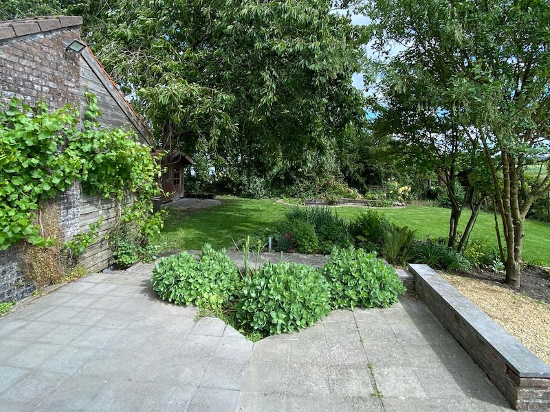 Huisje aan de Schelde 1