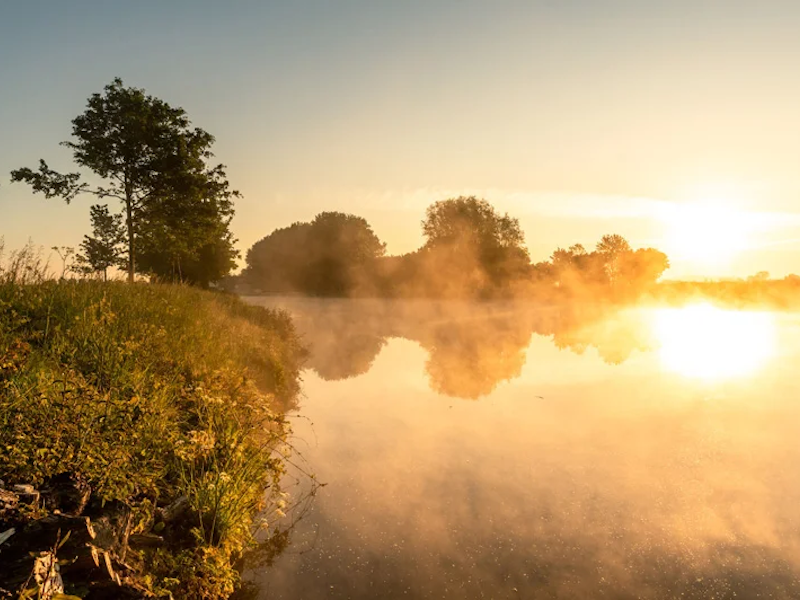 Huisje aan de Schelde 11