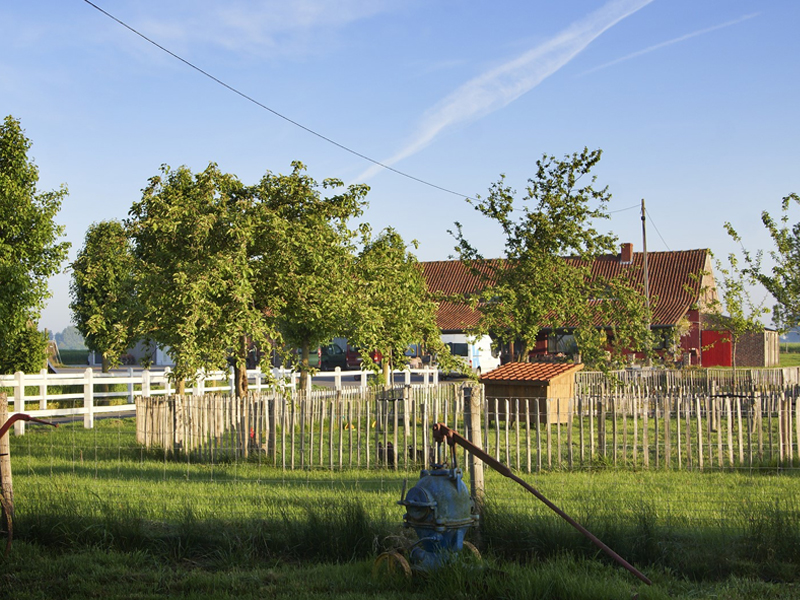 Vakantiewoning ’t Grenshof 2