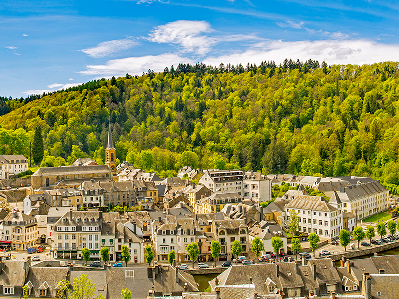 Bouillon