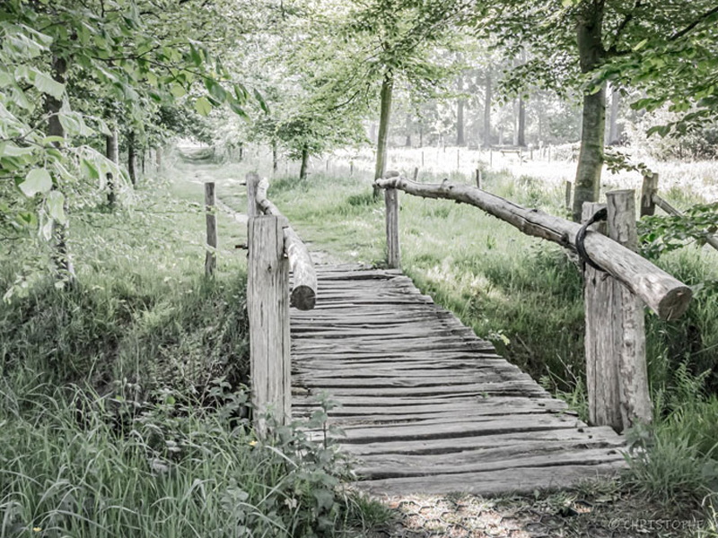 Wandelnetwerk Vloethemveld