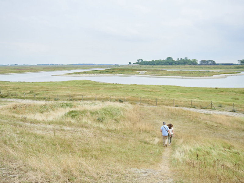 Wandelnetwerk Zwin