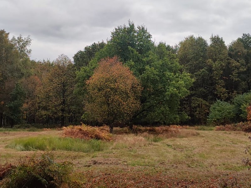 Door Het Leen en haar Arboretum
