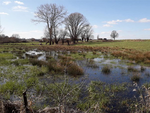 Aerebeekwandeling