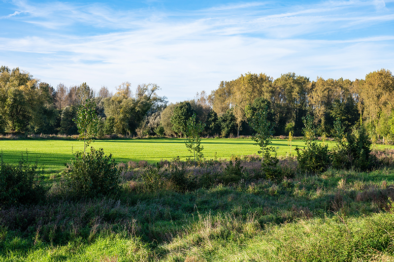 Beverbeekvallei wandelroute