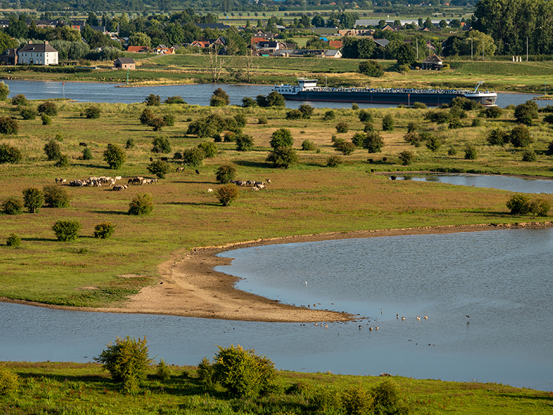 NS-wandeling Blauwe Kamer Rhenen 