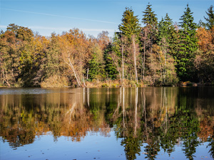 De Wijers - Bokrijk-Kiewit - Rood