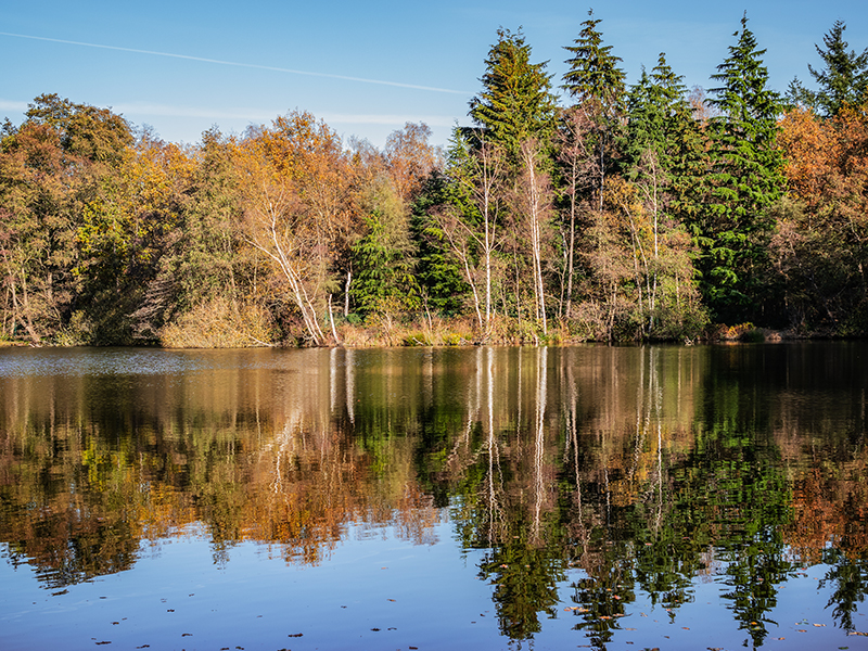 De Wijers - Bokrijk-Kiewit - Rood