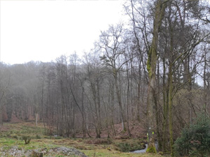 Wandeling Château de Barcenale