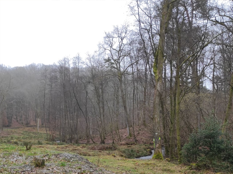 Wandeling Château de Barcenale