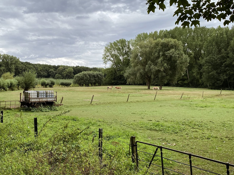 Cotthem en Oude Heerweg wandelroute