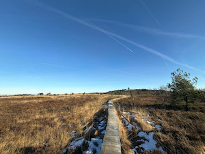 De Fagne van Malchamps via la Vecquee