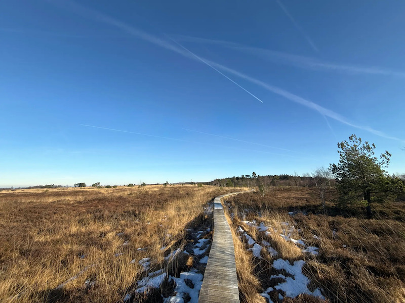 De Fagne van Malchamps via la Vecquee