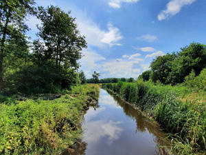 Vallei van de Drie Bekenwandeling - Blauw