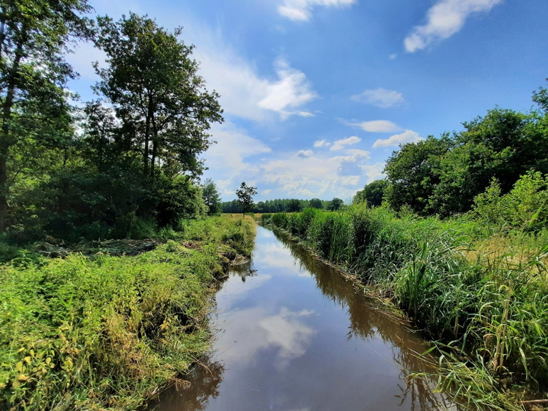 Vallei van de Drie Bekenwandeling - Blauw