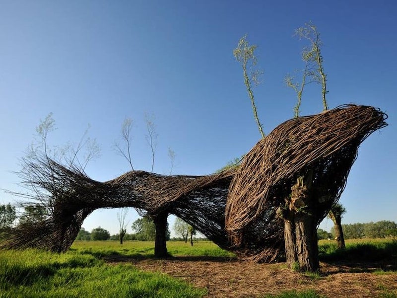 Salicetum kunstwerk in de Kalkense Meersen