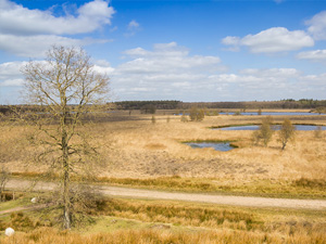 Groene Wissel 523: Bakkeveen 2