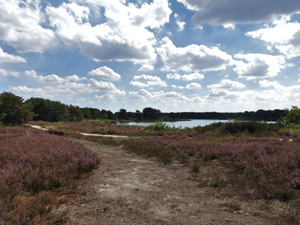 Kelchterhoef-Ten Haagdoorn - Geel