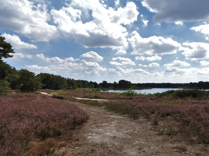 Kelchterhoef-Ten Haagdoorn - Geel