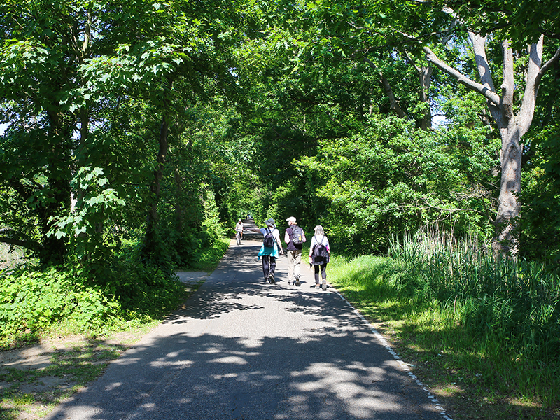 NS-wandeling Krickenbecker Seen