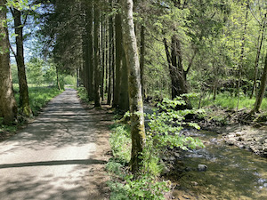 Moulin du Ruy en Roanne via Heilrimont
